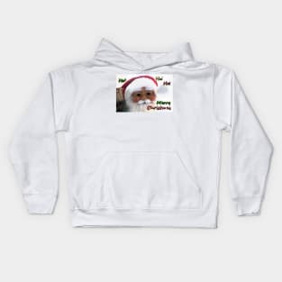 Merry Christmas Santa Clause Kids Hoodie